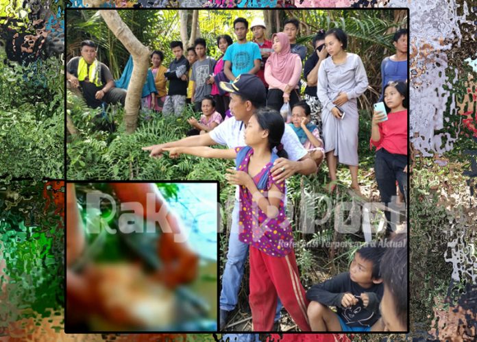 korban penerkaman buaya ema