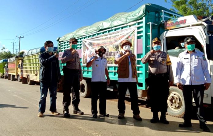 BUPATI KONUT LEPAS ROMBONGAN 200 TON JAGUNG HIBRIDA