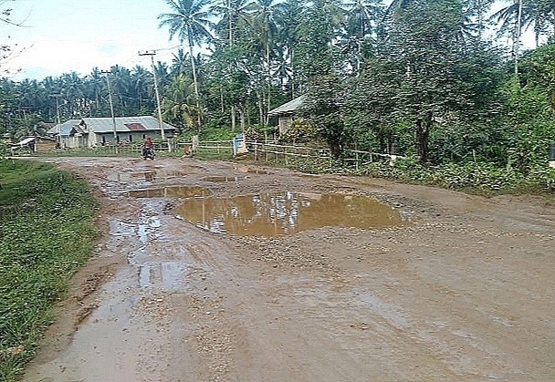 DEM Sultra Desak Pemrov Sultra Benahi ‘Jalan Kerbau’ Desa Pewutaa