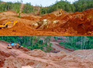 PT Putra Uloe dan PT Bone Sulawesi Prima Diduga Rambah Hutan Blok Morombo