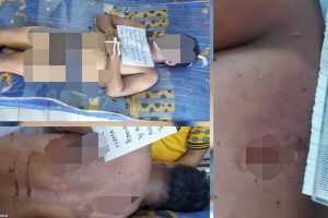 Terjepit Tali Kapal Tongkang, Pekerja PT LL di Konut Meninggal Dunia