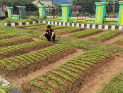 Program P2KP Bupati Konut Bakal Panen pada 17 Agustus 2022