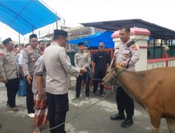 Polres Konawe Berkurban 14 Ekor Sapi