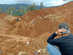 Tanpa Izin dan Diduga Merambah Hutan, PT SDE Didesak Hentikan Penambangan di IUP Antam