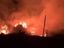 Gerak Cepat Damkar Konut Padamkan Api di Dekat SMPN 2 Asera