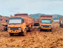 Penangkapan Illegal Mining PT PJP Sorot Pengusaha WNA dan PT Bosowa Mining
