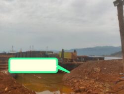 Pasca OTT, Pimpinan Utama PT CMI Diduga Masih Leluasa Jual Ore Nikel Tanpa Izin