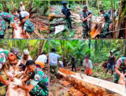 Perkuat Semangat Kemanunggalan, Yonif 725/Woroagi Olah Sagu Bersama Masyarakat Papua Selatan