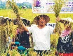 Kerja Keras Pemkab Konut Bersama Petani, Surplus Komoditi Padi Urutan Kedua Se-Sultra