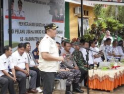 Dongkrak Ekonomi Masyarakat, Pemkab Konut Salurkan Bantuan Kepada 348 Pelaku UMKM