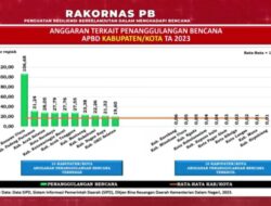 Mendagri Puji Penetapan Anggaran Bencana di Konut yang Tertinggi se-Indonesia