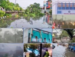 Bencana Angin Kencang di Kendari, Pohon Tumbang hingga Sejumlah Gedung Rusak Parah