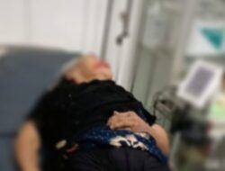 Lakalantas di Koltim, Seorang Nenek Meninggal Dunia Usai Jatuh dari Mobil Pickup