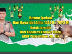 Kapolres Konut Kurban Seekor Sapi Kepada Para Jurnalis