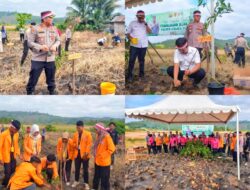 Aksi Penghijauan, Polres Koltim Turut Menanam 1000 Pohon