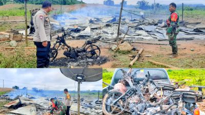 Dihuni 25 Orang Karyawan, Rumah Pembibitan Sawit Milik PT. DJL Hangus Terbakar