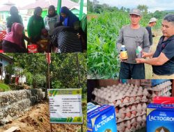 Desa Wawolimbue Tuntaskan Program Prioritas Tahap Pertama Dana Desa 2024