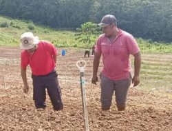 Pengendalian Inflasi, Pjs Bupati Konut Pimpin Penanaman Bawang Merah di Awila Puncak