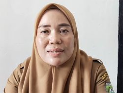 Viral di Medsos, Kades Andedao, Hariati, Klarifikasi Penundaan Honor Anggota BPD