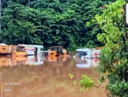 Sungai Lalindu Meluap, Aktivitas Tambang PT SCM Diduga Picu Banjir di Konawe Utara