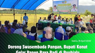 Dorong Swasembada Pangan, Bupati Konut Gelar Panen Raya Padi di Puuhialu
