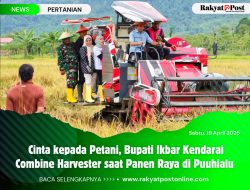 Cinta kepada Petani, Bupati Ikbar Kendarai Combine Harvester saat Panen Raya di Puuhialu