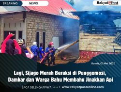 Lagi, Sijago Merah Beraksi di Punggomosi, Damkar dan Warga Bahu Membahu Jinakkan Api