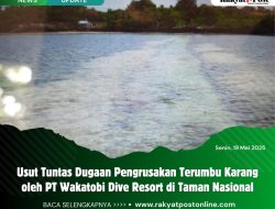Usut Tuntas Dugaan Pengrusakan Terumbu Karang oleh PT Wakatobi Dive Resort di Taman Nasional