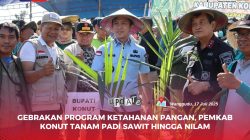 Gebrakan Program Ketahanan Pangan, Pemkab Konut Tanam Padi, Sawit hingga Nilam