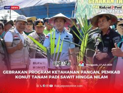 Gebrakan Program Ketahanan Pangan, Pemkab Konut Tanam Padi, Sawit hingga Nilam