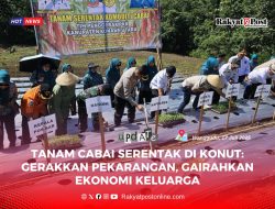 Tanam Cabai Serentak di Konut: Gerakkan Pekarangan, Gairahkan Ekonomi Keluarga