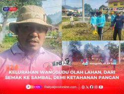 Kelurahan Wanggudu Olah Lahan, dari Semak ke Sambal, Demi Ketahanan Pangan