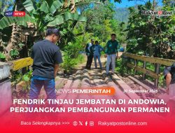 Fendrik Tinjau Jembatan di Andowia, Perjuangkan Pembangunan Permanen