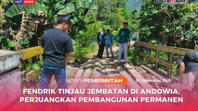 Fendrik Tinjau Jembatan di Andowia, Perjuangkan Pembangunan Permanen