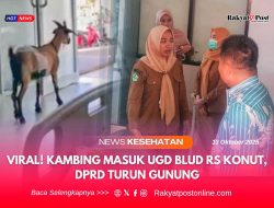 Viral! Kambing Masuk UGD BLUD RS Konut, DPRD Turun Gunung