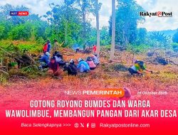 Gotong Royong BUMDes dan Warga Wawolimbue, Membangun Pangan dari Akar Desa
