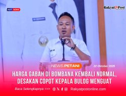 Harga Gabah di Bombana Kembali Normal, Desakan Copot Kepala Bulog Menguat