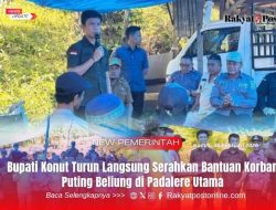Bupati Konut Turun Langsung Serahkan Bantuan Korban Puting Beliung di Padalere Utama