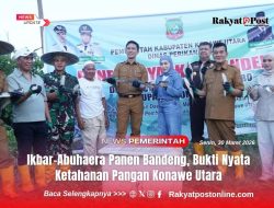 Ikbar-Abuhaera Panen Bandeng, Bukti Nyata Ketahanan Pangan Konawe Utara
