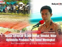 Tanam Serentak 10.000 Hektar Dimulai, Ikbar Optimistis Produksi Padi Konut Meningkat