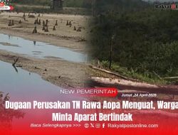 Dugaan Perusakan TN Rawa Aopa Menguat, Warga Minta Aparat Bertindak