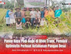 Panen Raya Padi Gogo di Oheo Trans, Pemdes Optimistis Perkuat Ketahanan Pangan Desa