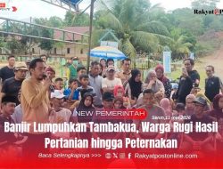 Banjir Lumpuhkan Tambakua, Warga Rugi Hasil Pertanian hingga Peternakan
