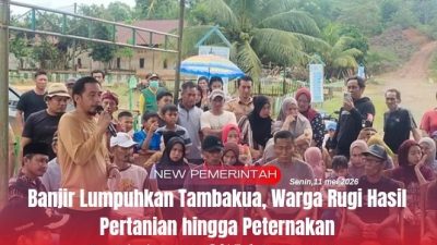 Banjir Lumpuhkan Tambakua, Warga Rugi Hasil Pertanian hingga Peternakan